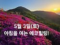5월 3일(토)아침을 여는 건강한 에코힐링(글 전체보기는 글주소 클릭!)