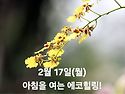 2월 17일(월)아침을 여는 건강한 에코힐링(글 전체보기는 글주소 클릭!)