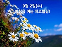 9월 2일(수)아침을 여는 건강한 에코힐링(글 전체보기는 글주소 클릭!)