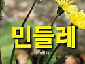 김문옥감독의 신작 영화 ‘민들레’ 제작 회의