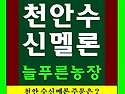 수신메론 맛 보세요!!-[..