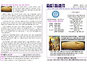 2025. 5. 25 교회주보