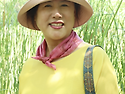 은행나무 자연숲길우리에겐 딱이여