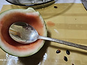 숫가락 수박