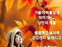 수다