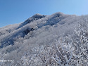 백운 따리봉