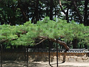 20260802#제401차강원도영..