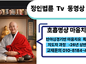 정인법륜 Tv 반야심경기반 마음치유 1학기 특강5 ● 안반수의 호흡명상 & 깨달음후 회향-자비실천
