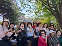2026. 05. 06. 월피동라..