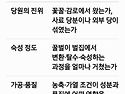 농축한 꿀은 천연꿀이 아니다?