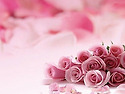 ★서로 소중히 하며 사는 세상★