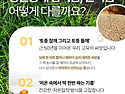 26년 국산 햇참깨 수확기념 | 갓 짠 ..