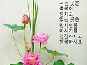 수요일