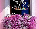 &#129315; 웃꼬가세유~! 한국의 ..