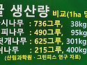 아까시와 함께 5대 꿀샘식물을 !!!