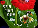금요일