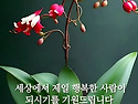 화요일
