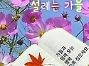 수요일