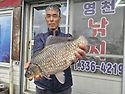 4월20일 조황입니다.