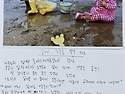 2025년 사진일기 대상
