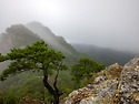 경북 영덕 팔각산(八角山,..