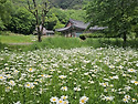 [제129차]25/05/17 부안 내변산 산행..