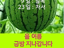등업 부탁드려요~^^