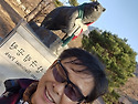 스크린하다(10)