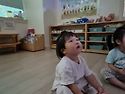 &#129655;씨앗- 뮤직..