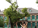 덕수궁출사6