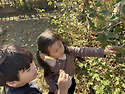 34. 🍃나뭇잎 김밥 가게와 솔방울 모빌🍂