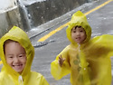 폭우속으로