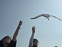 2026-07/31-08/02(금-일)울릉도-독도..