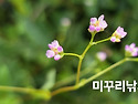 지리산 운지사 바래봉 입구..