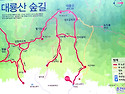 2025 1월18일 춘천 대룡산..