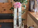 #펜다화분 #가지마루화분 ..