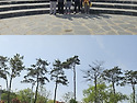 [4월3주] 지역탐방_화순봄..