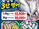 10월 16일(금) 목포는항구다 생선카페 판매생선 [ 횟감용 3단병어 / 안강망 참조기 / 먹갈치 ]