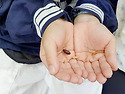 엄마와 함께 숲산책하며 ..