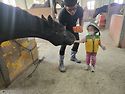 🐴토당이들의