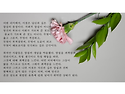 내면의 음성
