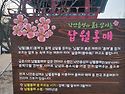 낙안읍성의 봄을 알리는 납월홍매