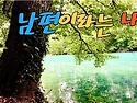 남편나무