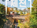 제천 가볼만한곳 베스트1..