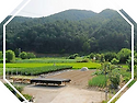 강원도토지매매,춘천시토지매매,강원도부동산매매,춘천시부동산매매 1,911㎡(약 578평) 1.9억 ..