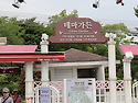 5월의 장미