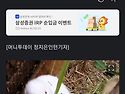 후쿠시마 귀없는 토끼