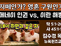 돼지떼(경제) Vs. (이란)영혼의 구원