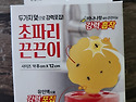 초파리 끈끈이(혐짤 주의)