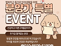 평택강아지분양 강아지입양 새끼강아지..